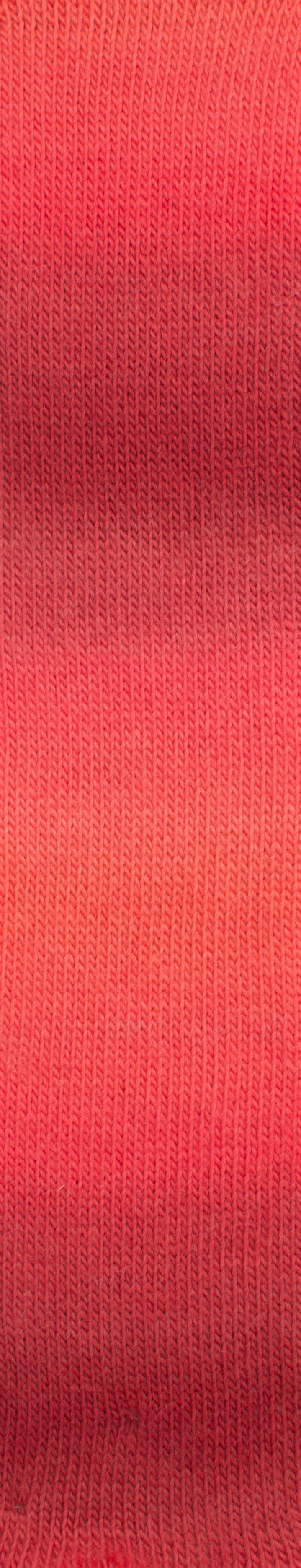 Year Socks Color by Woolly Hugs