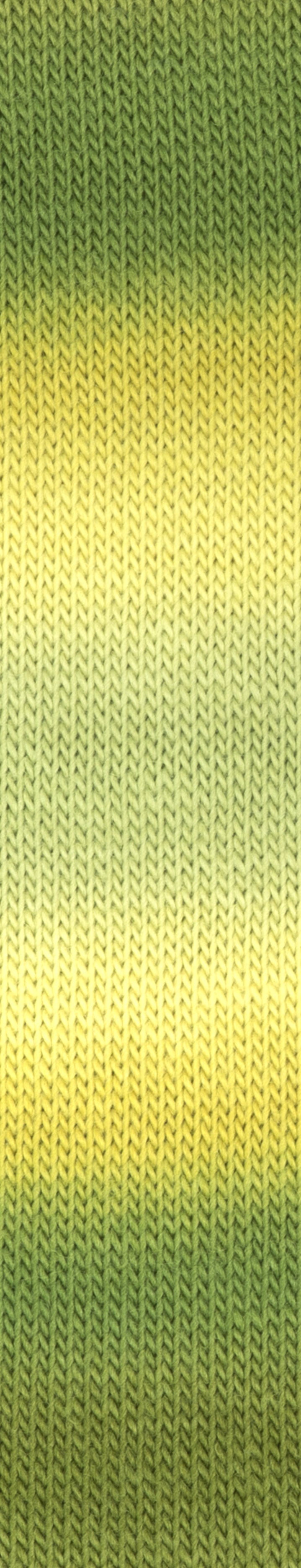 Year Socks Color by Woolly Hugs