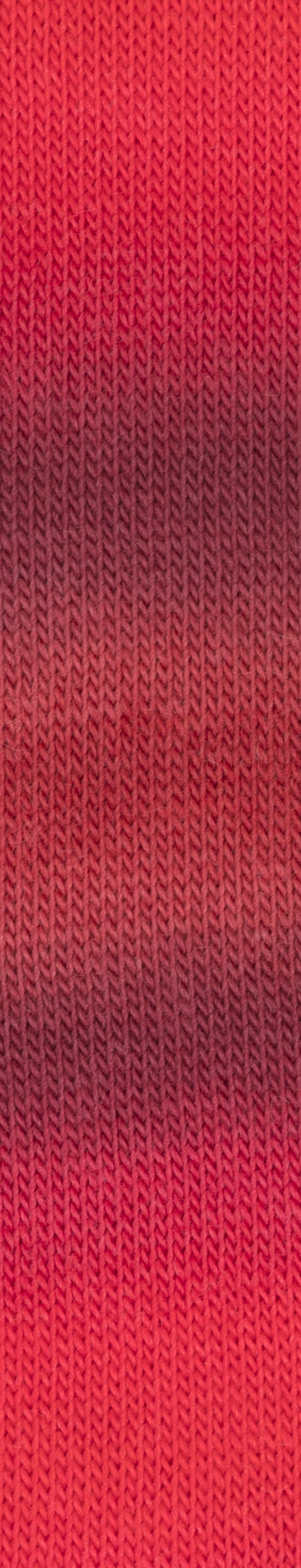 Year Socks Color by Woolly Hugs