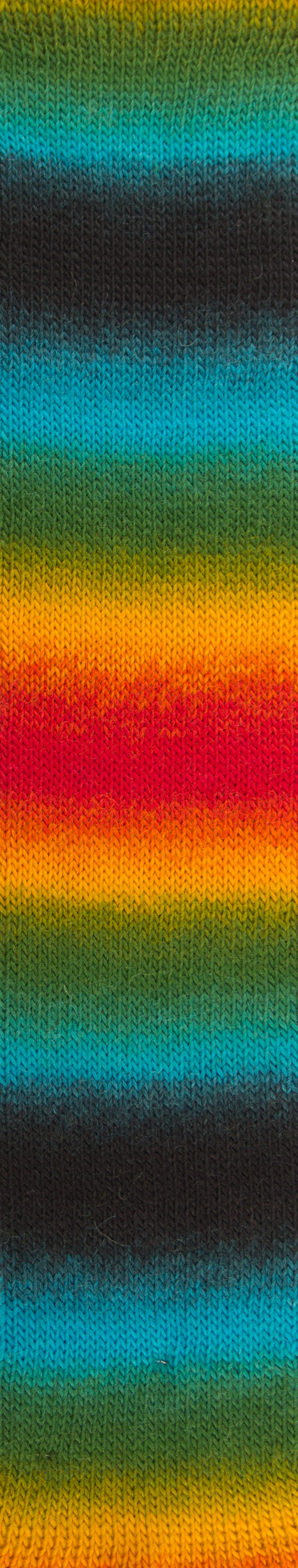 Year Socks Color by Woolly Hugs